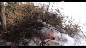 Охота на волка в Якутии / Волк-беглец. Выжить любой ценой./