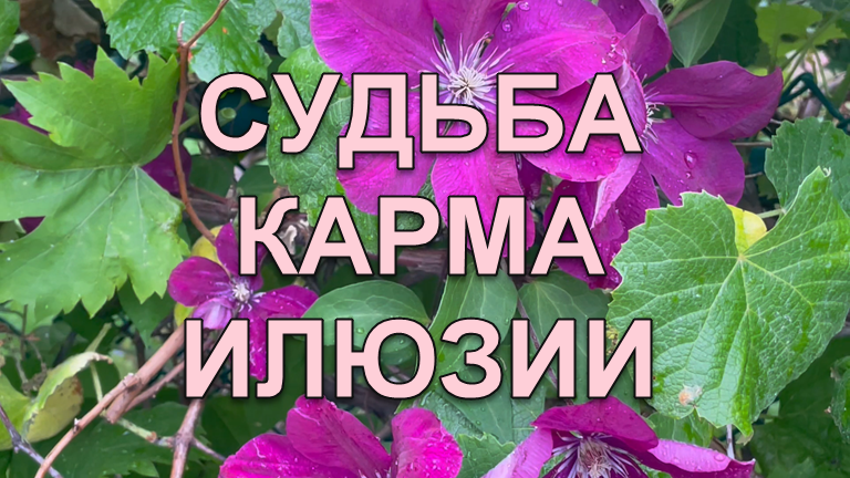 Судьба, карма, иллюзии и мы в этой цепи.