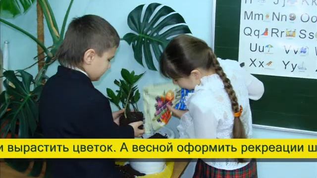 Зелёная школа своими руками