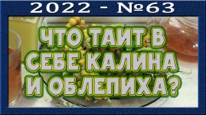 Облепиха. Калина. Польза, вред? Что даёт в конечном итоге? Стимуляция чистки. Лекарственное средство