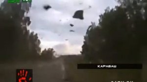 Дерево упало на машину.  ВИДЕО