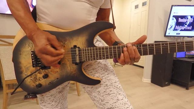 My Schecter Reaper C1 FR/S смотреть онлайн