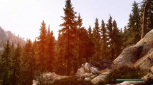 Proper Gameplay of heavily modded Skyrim over 300+ mods. (Not just a showcase)