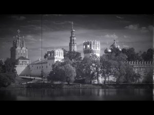 Голубица, Моя голубица