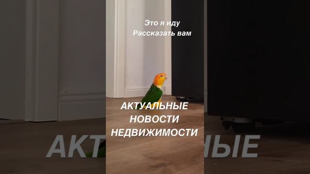 Актуальные новости недвижимости