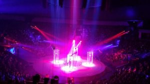 Лазерное шоу на выступлении акробатов в Цирке Лазерное шоу на выступлении акробатов в Цирке