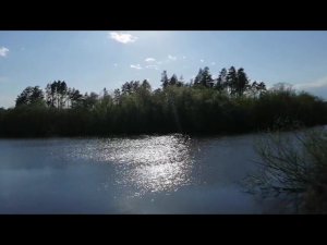 ПРОГУЛКА В АМУРСКОЙ ОБЛАСТИ