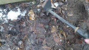 Весенняя обрезка и подкормка РЕМОНТАНТНОЙ МАЛИНЫ