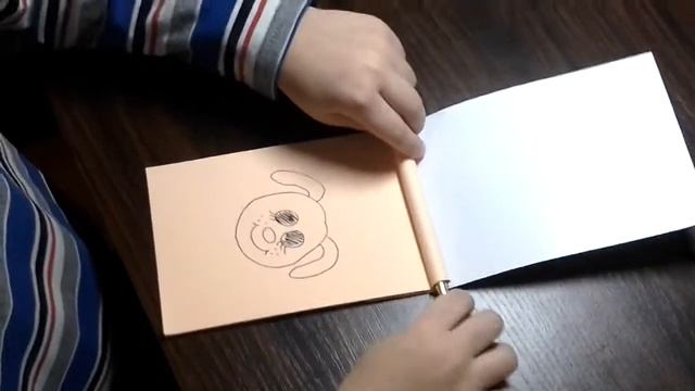 Детский мастер-класс по созданию мини-мультфильма. Алая Агата