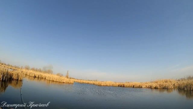 Рыбалка на Спиннинг ВЕСЕННЯЯ РАЗВЕДКА ВЛАДИМИРОВСКИЕ БОЛОТА Новое место. Живите в Кайф! смотреть онлайн