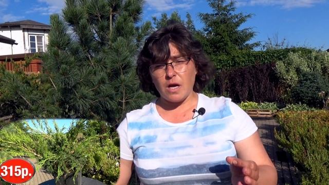 Как сэкономить на растениях? Чем отличается акция от уценки? Скидки от распродаж?