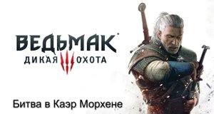 Ведьмак 3- Дикая Охота. Прохождение на PS4. Без комментариев(1)(16).mp4