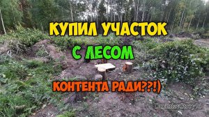 Купил участок в лесу. Разработка участка с нуля своими руками