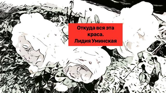 Откуда вся эта краса. Стих читает Лидия Уминская смотреть онлайн