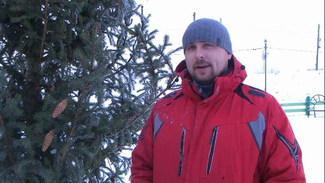 Сюжет Злоказово готовится к новому году. смотреть онлайн