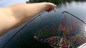 ловля щуки  на заросшем озере. 01.07.2020.