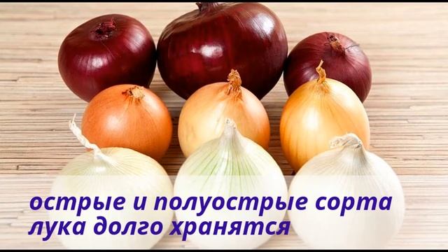 Выращиваем лук. Обзор сортов лука. смотреть онлайн