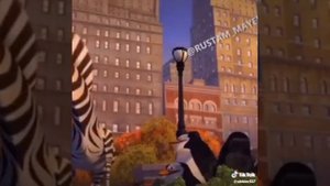 Полосатый Ишак ???