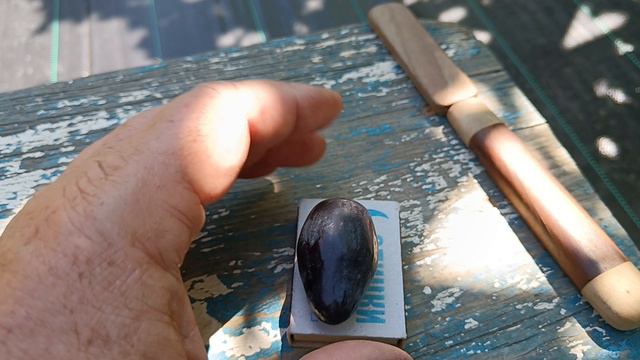 Виноград Памяти Бронислава (Калугин В. М.) 09.08.24г.виноградник Король В. Н. Slava.King2007@mail.ru смотреть онлайн