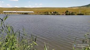 Рыбалка, Ставропольский край, пруд Зеркало.