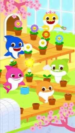 Baby Shark Family Blooming Flowers🌸🌻