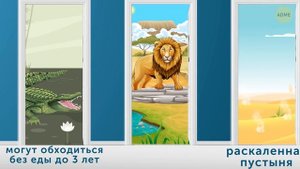 12 загадок, которые нужно решить, чтобы выжить