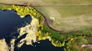 Полёт на дроне DJI Mini 2 над озером Кирчим. Тюмень. 4K