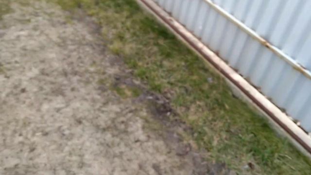 Весна 2023г.Персиковый сад.Обрезка и обработки. Поздравление и маленький совет нашим женщинам. смотреть онлайн