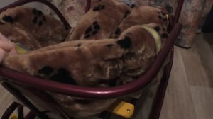 Санки Ника Тимка 6 универсал. Отзыв. Плюсы и минусы.