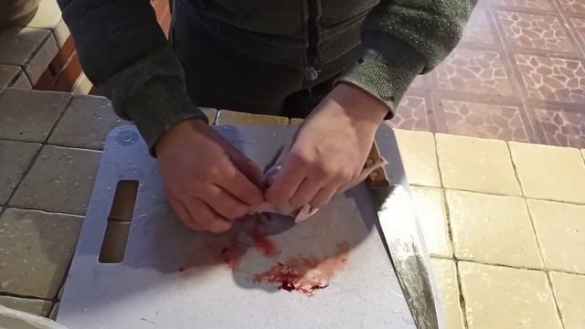 Убой ощип и потрошение перепелов. смотреть онлайн