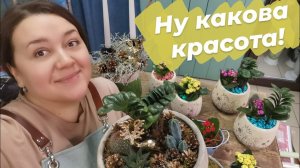 Смотрите как я оформляю цветочные композиции!