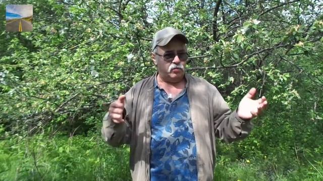 Скоро мы все отойдём ото сна и потянемся к свету смотреть онлайн