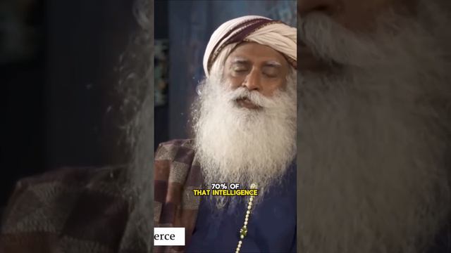 the Knowledge of an Idiot: Sadhguru #wisdom #knowledge #ancientwisdom