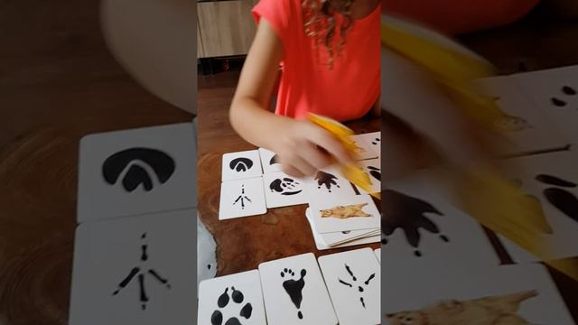 Игра Следы животных Match a track смотреть онлайн