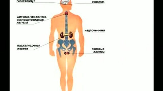 Живая еда 3