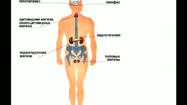Живая еда 3
