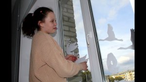 Окна Победы