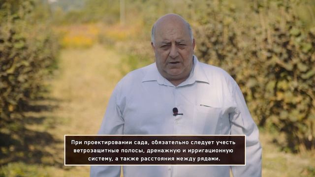 Планирование участка ореха  Land planning of hazelnut plantation