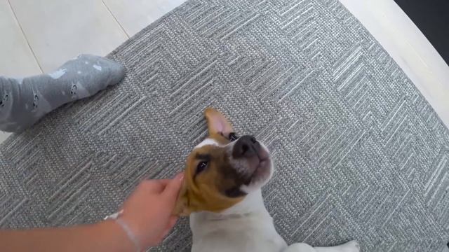 МИЛАНА И ДАНЯ ЗАНИМАЮТСЯ СПОРТОМ! ФУТБОЛ Даня БУДЕТ ИГРАТЬ ИЛИ УБЕЖИТ!???
