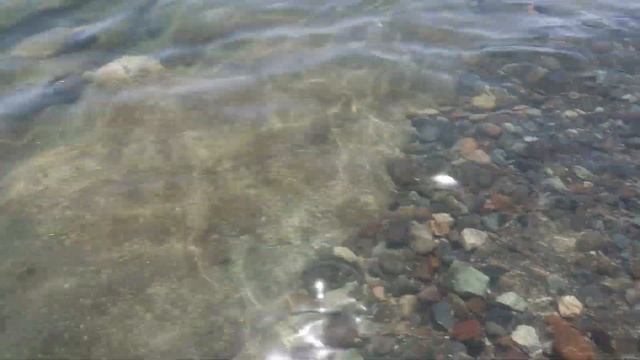 Инопланетное содовое озеро Ван. В Турцию на машине из Беларуси через Россию и Грузию смотреть онлайн