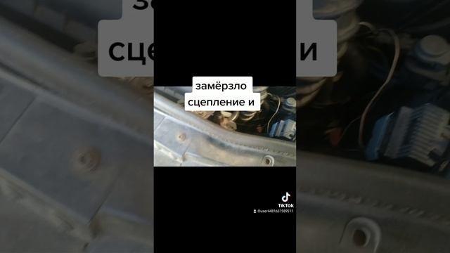 Карточка видео