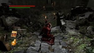 Снаггли Ворона Dark Souls (New Game +)