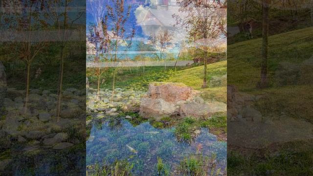 fentezipark_uman_ukraine, nature of Ukraine, природа Украины, парки Украины, парки мира смотреть онлайн