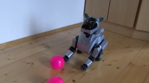 Sony AIBO ERS 210