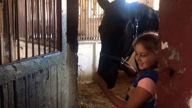 Школа верховой езды. Учимся ездить на лошади. | Детский блогер Маричка Лисичка смотреть онлайн