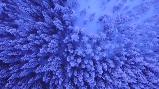Основной вопрос философии