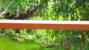 Khách Sạn Hòa Bình Phú Quốc - Khách Sạn 4 Sao Gần Chợ Đêm Phú QUốc