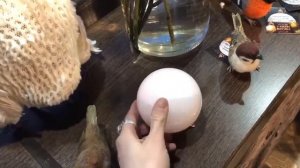 Ведьмин Шар "Розовый  Халцедон". Обзор магазина магии "В Косом Переулке"