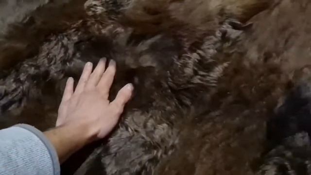 КОВРИК ИЗ КОЗЬИХ ШКУР "КАПУЧИНО" (КОД: 4395) смотреть онлайн