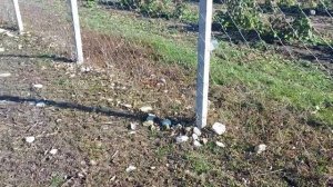 Как выбрать и установить сетку "рабица".